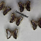 Butterfly Stones-Bundle