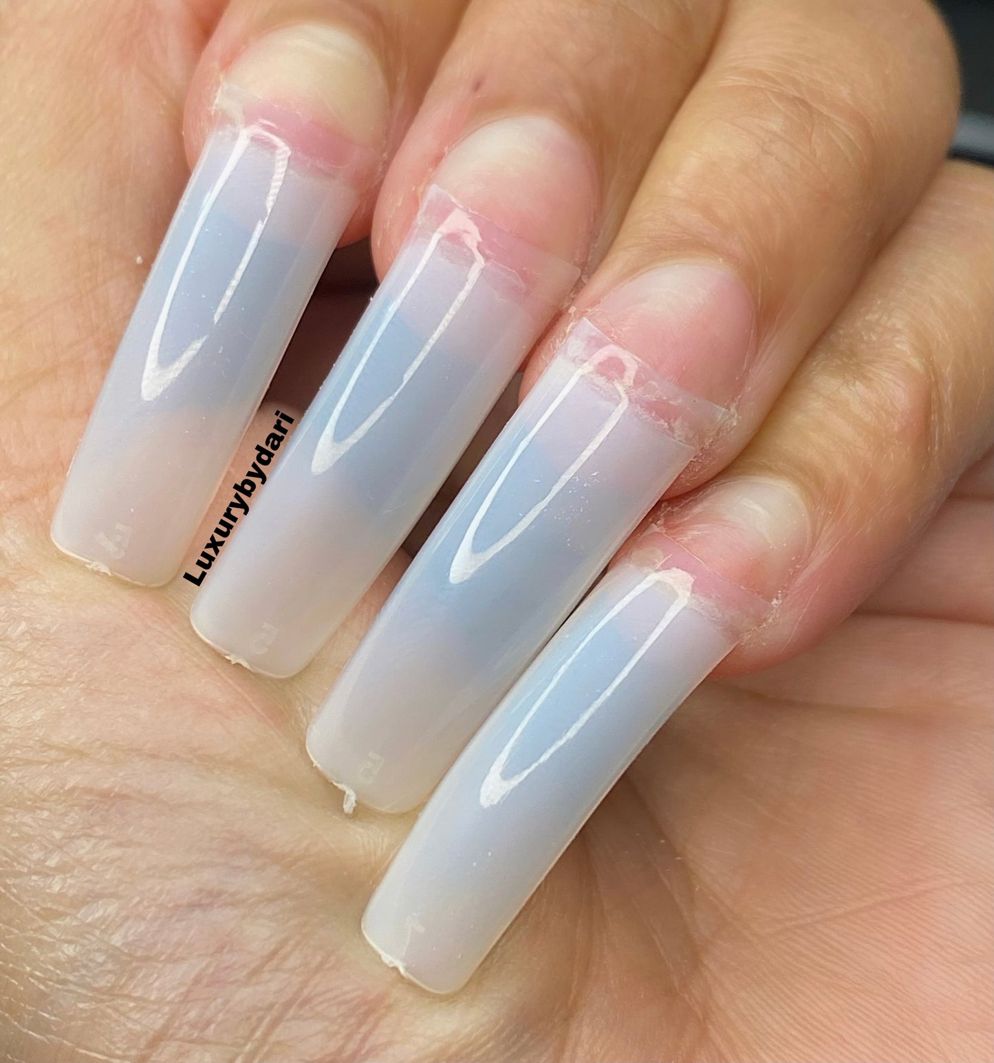 Square XL curved Nail Tips